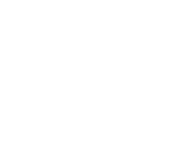 Set The Sale Logo